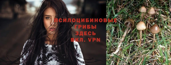 стафф Абинск